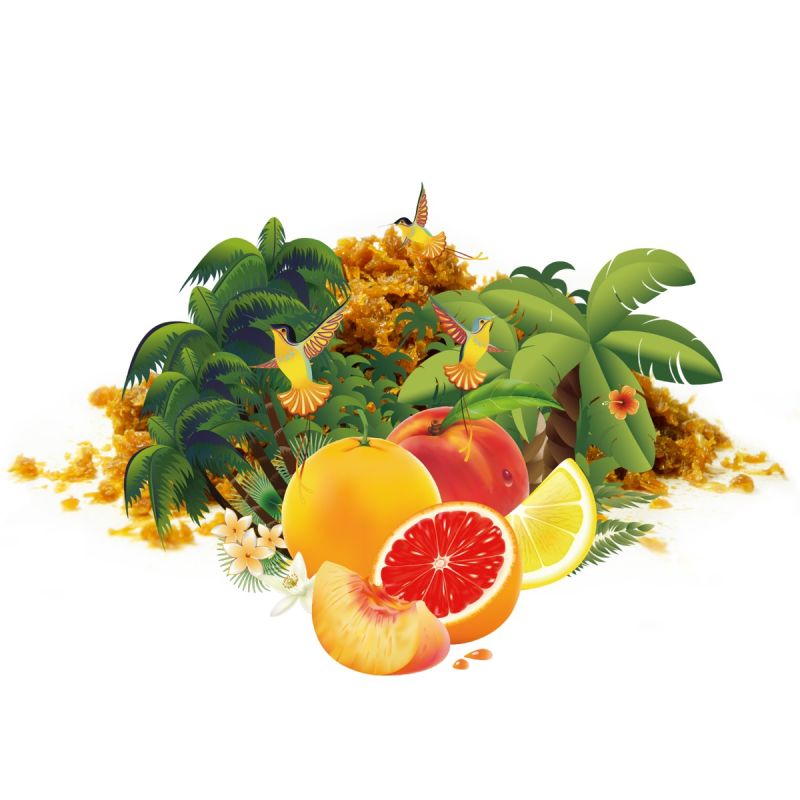 caribbean nights vape flavor Explore Affordable & Convenient Disposable Vapes at White Horse Vapor
